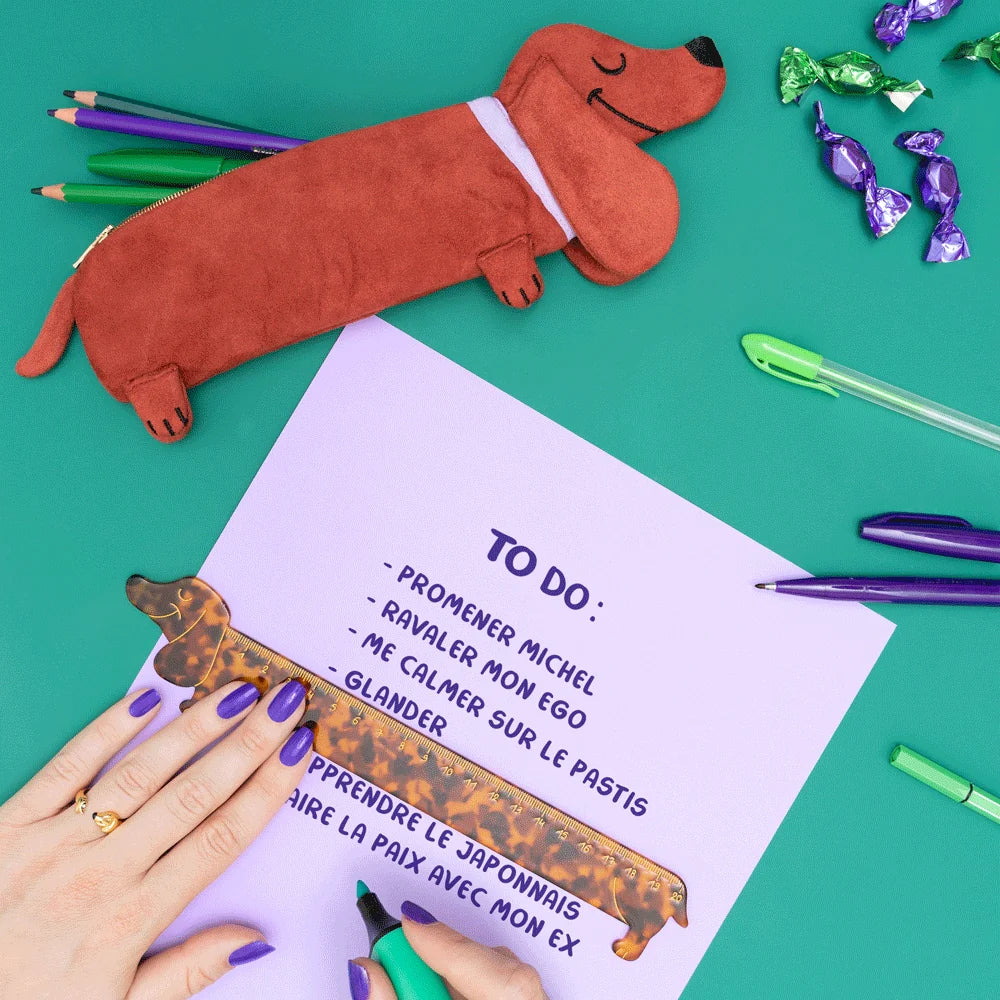 REGLA DACHSHUND