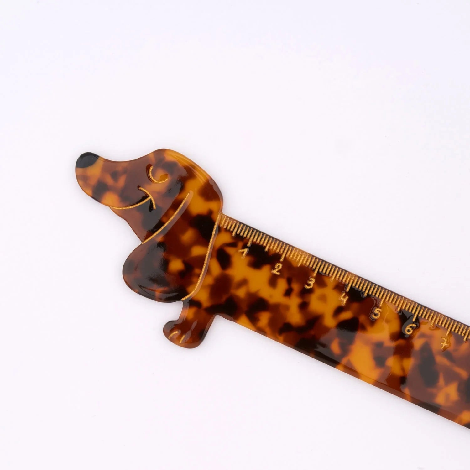 REGLA DACHSHUND