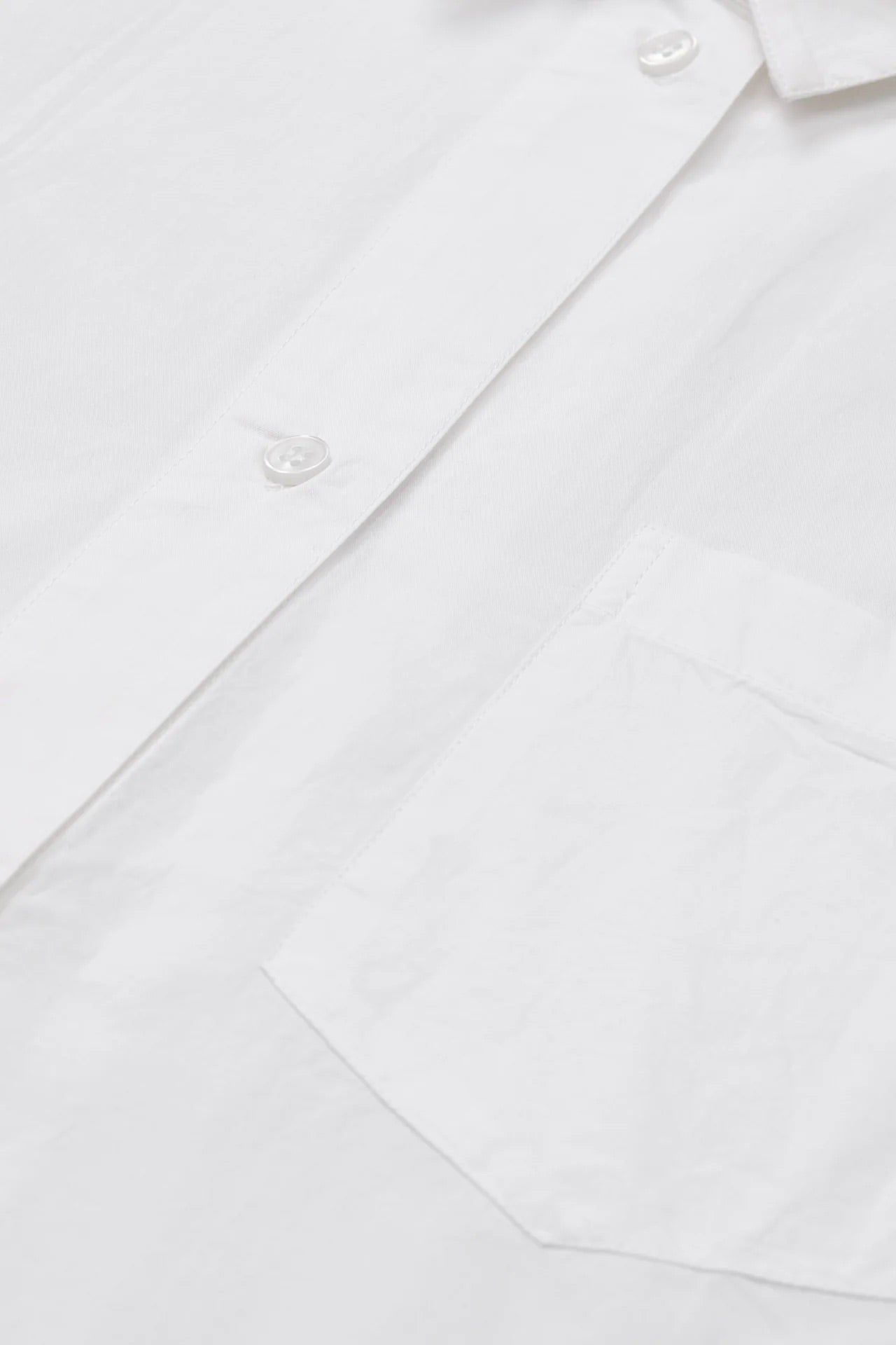 CAMISA Skall Studio AW25 Edgar optic white