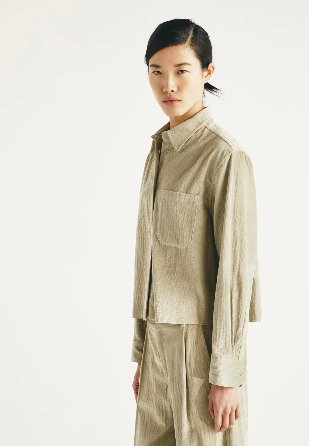 CAMISA Masscob AW25 Serra camomille