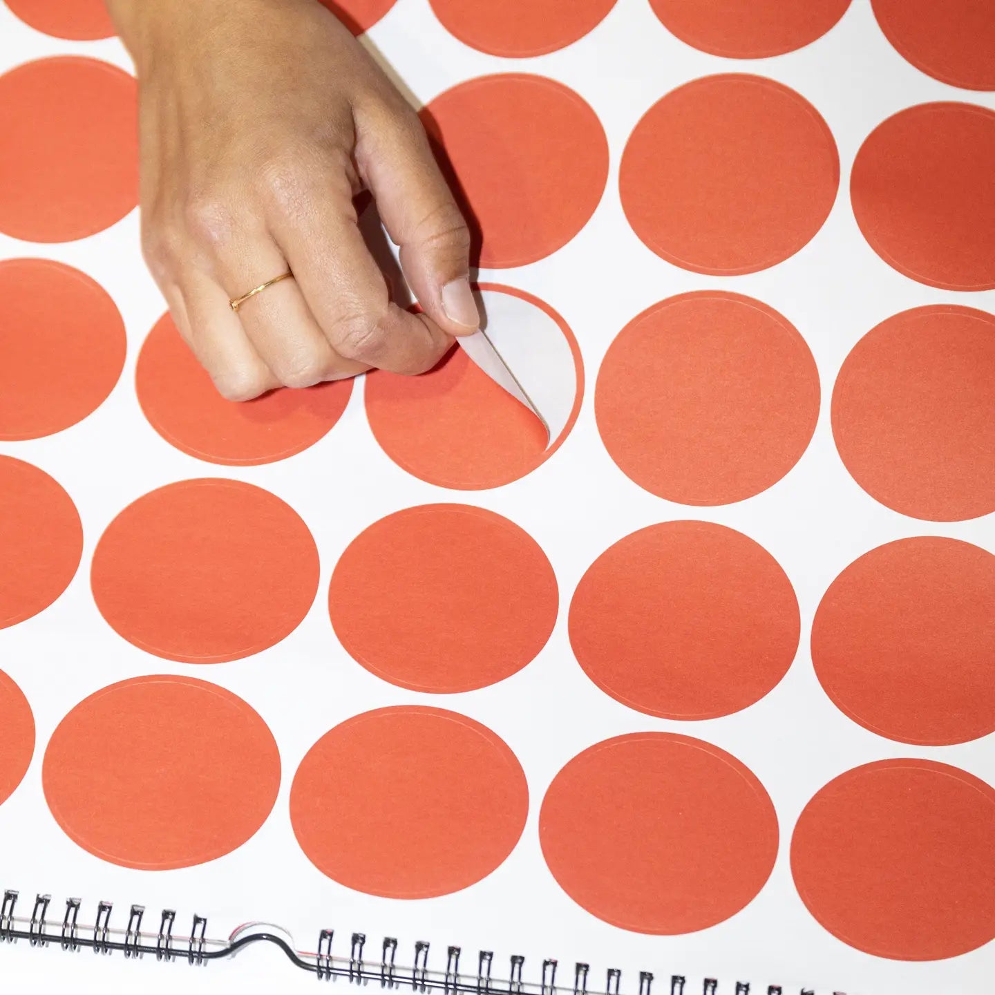 CALENDARIO Vinçon wall calendar 2026