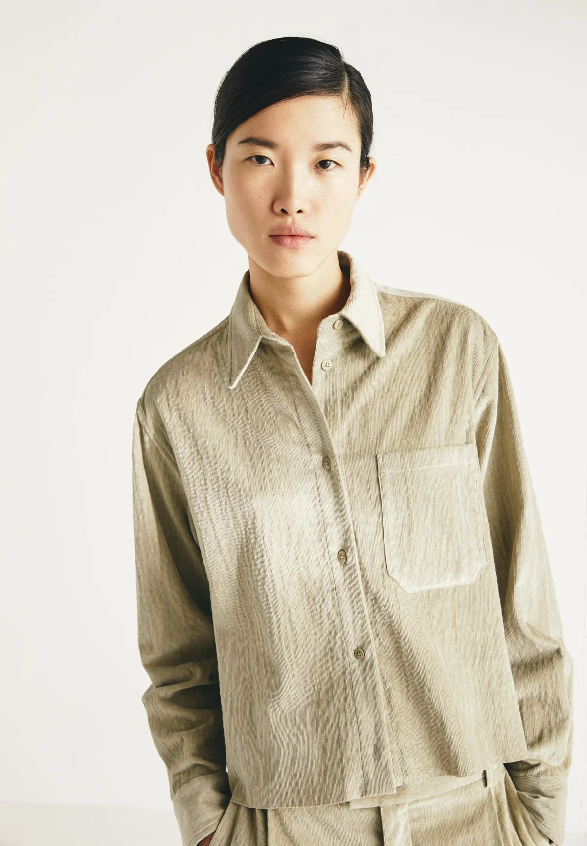 CAMISA Masscob AW25 Serra camomille