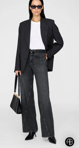 JEANS Anine Bing AW25 Brie arctic night