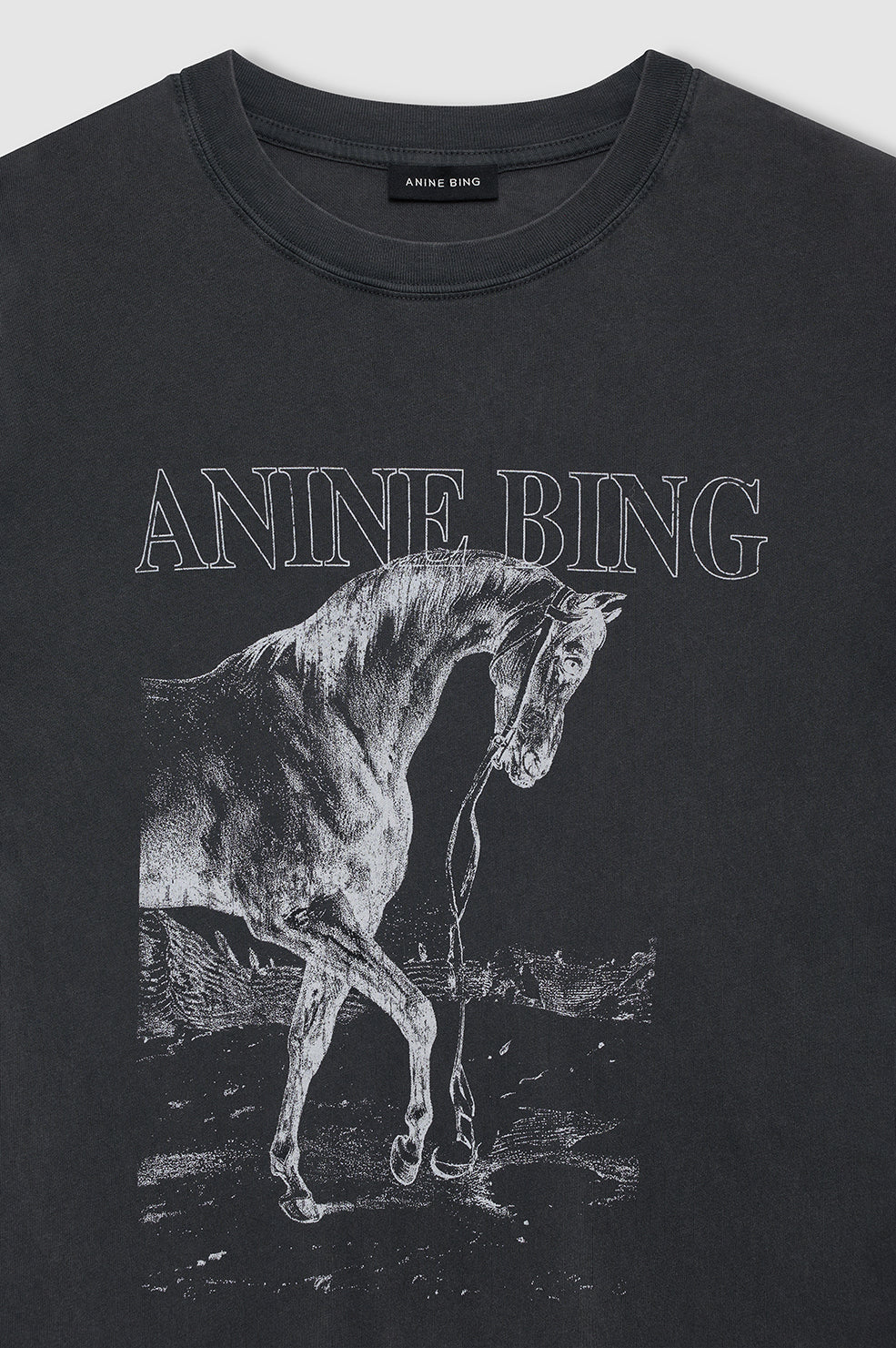 CAMISETA Anine Bing AW25 Lili tee horse washed black