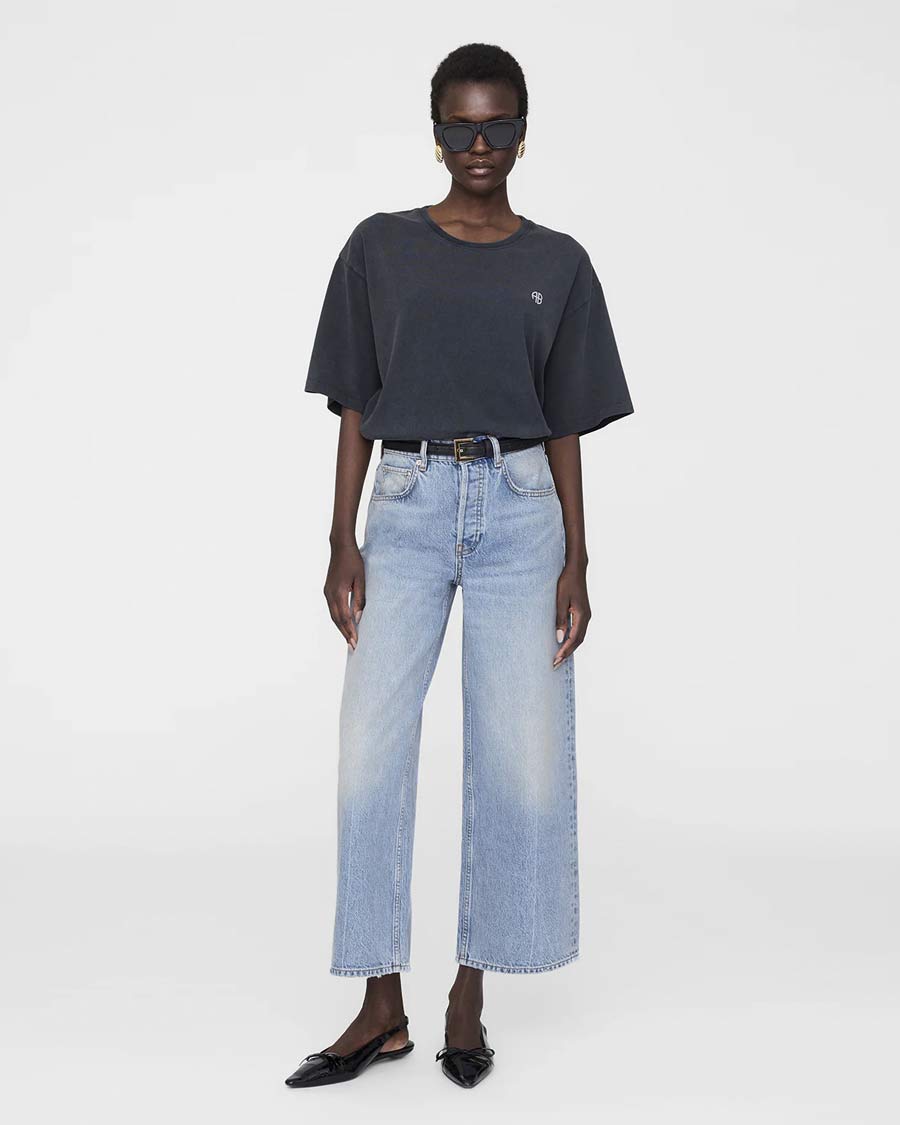 CAMISETA Anine Bing AW25 Rudy tee empower washed black