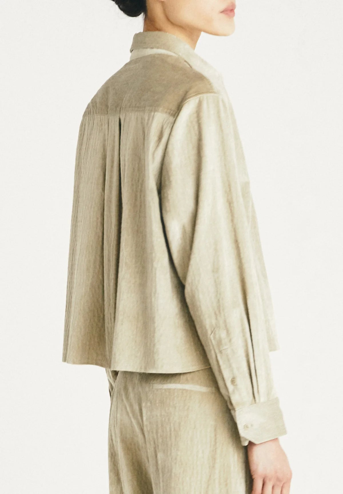 CAMISA Masscob AW25 Serra camomille